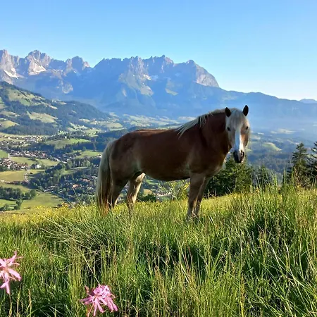 Hahnenkammblick