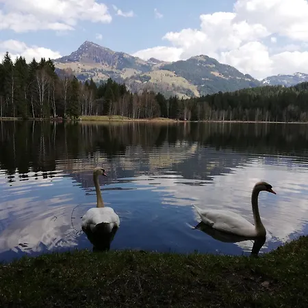 Hahnenkammblick Farm stay Kitzbuhel