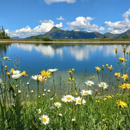 Hahnenkammblick