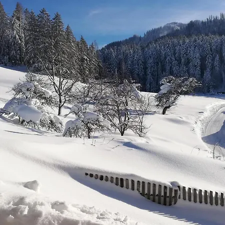 Hahnenkammblick * Kitzbuhel