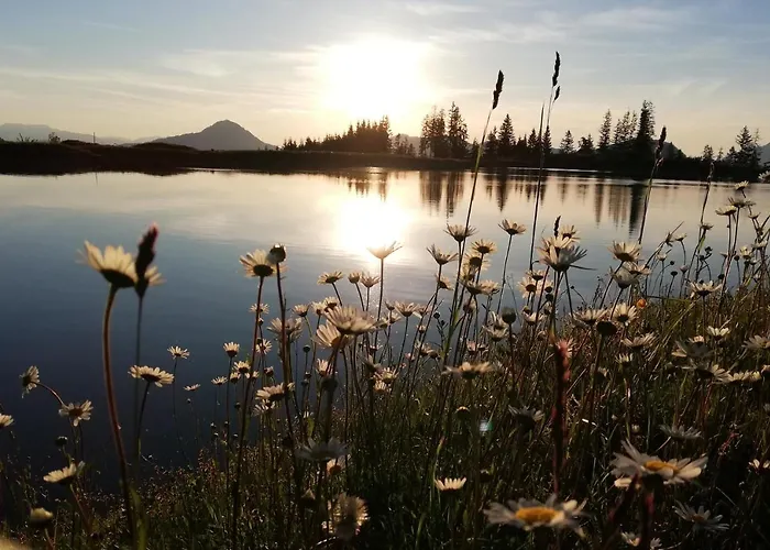 Bauernhof Hahnenkammblick *