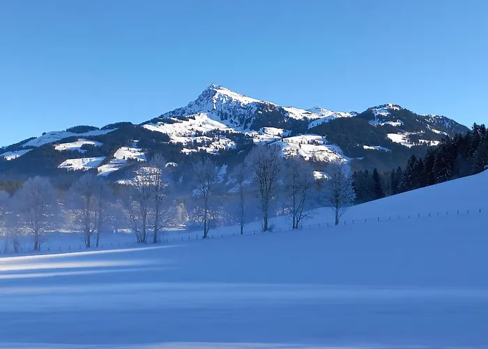 ファームステイ Hahnenkammblick