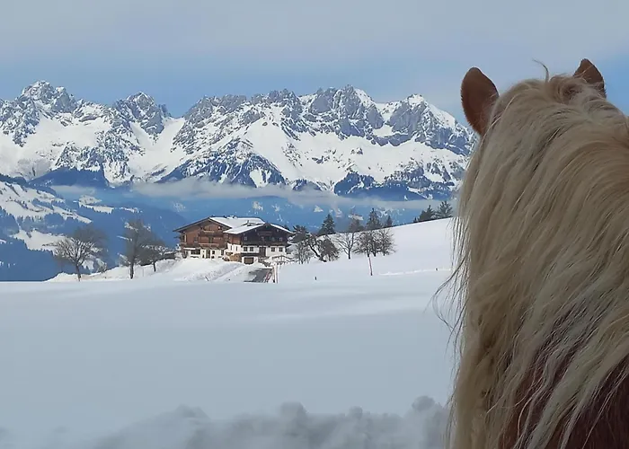 Hahnenkammblick Bauernhof *