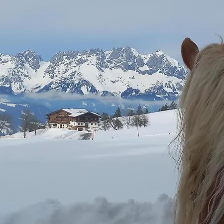 Hahnenkammblick مزرعة للإقامة *